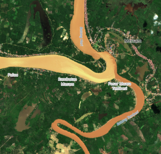 Satellite image of the Hari-Tembesi river confluence in Sumatra, Indonesia, showing contrasting sediment loads from two rivers meeting