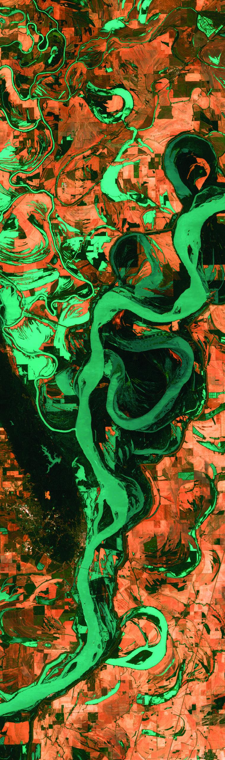 False-color satellite image of Mississippi River meanders showing vegetation and water in infrared palette